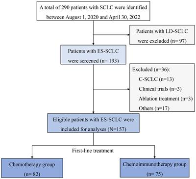 Treatment patterns and clinical outcomes in 157 patients with extensive-stage small cell lung cancer: real-world evidence from a single-center retrospective study